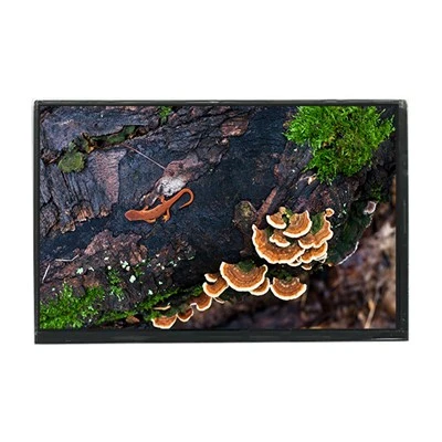 LTD121EA4Z 1024*768 12.1-дюймовий TFT-РК-екран із частотою 60 Гц для ноутбука
